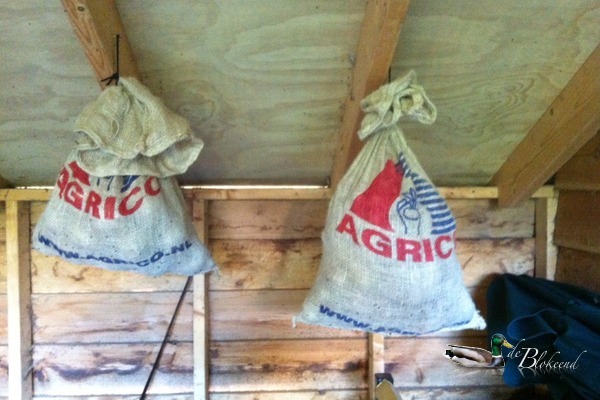 De oogst aardappelen hangt hoog en droog