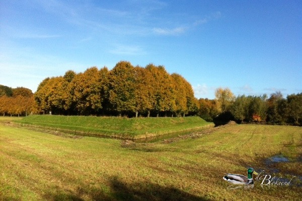 Een prachtige zondagochtend  in Oudeschans