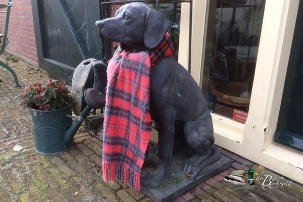 Hond met shawl..toch koud nog...