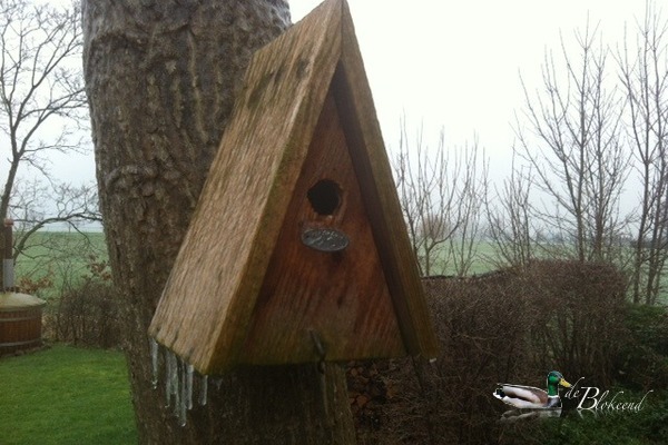 Bevroren vogelhuisje..