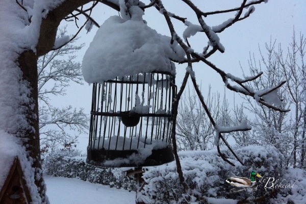 In het kooitje voer voor de vogels