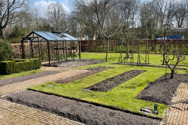 Tuinbonen,uien en aardappelen in de grond 