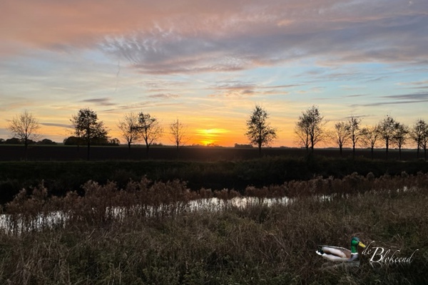 Zonsondergang achter ons huis